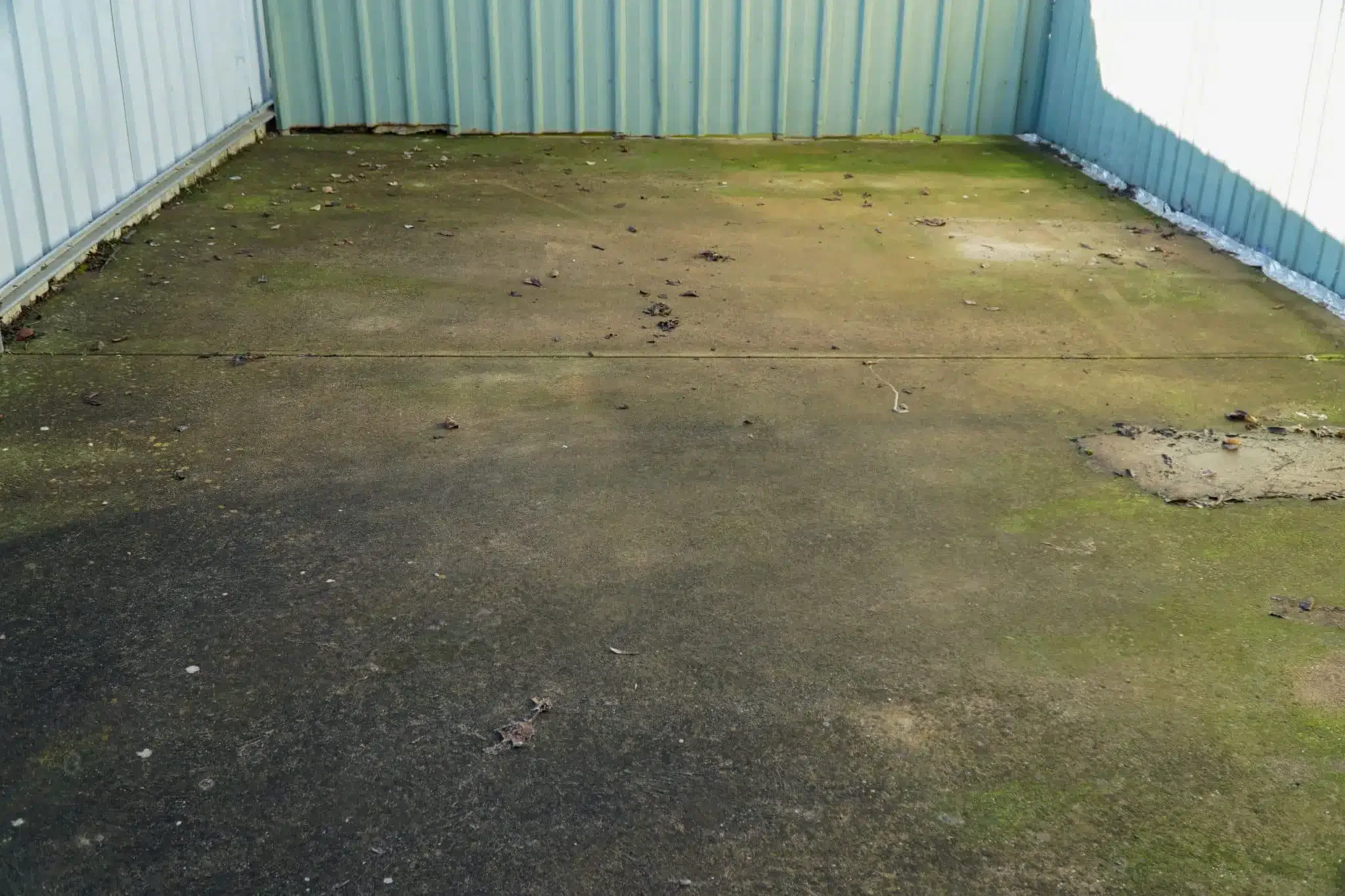 Before
