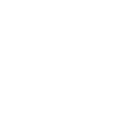 Steo 01