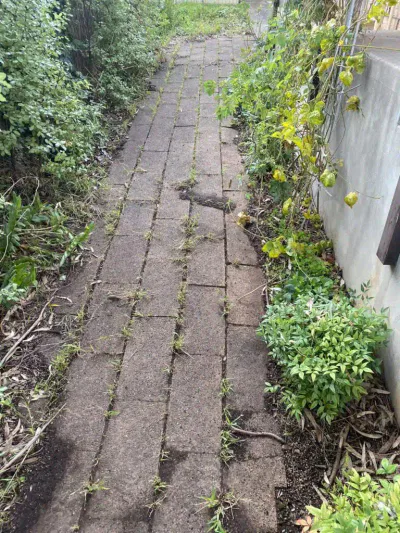 Before