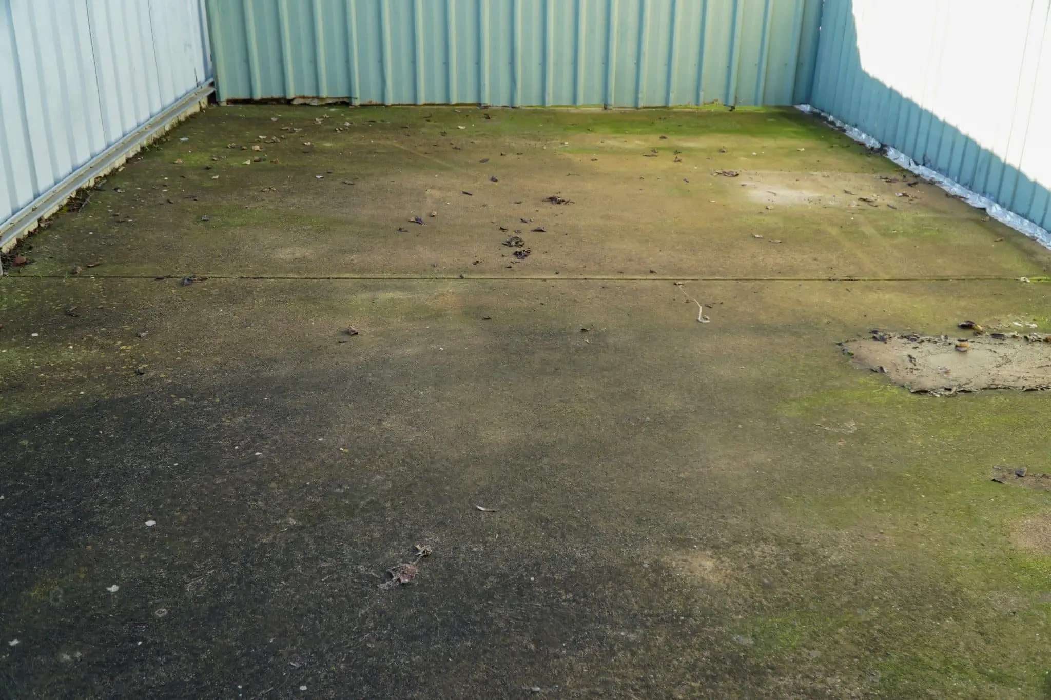 Before